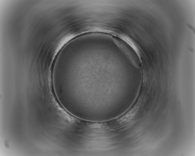 X0000096941048200802081201