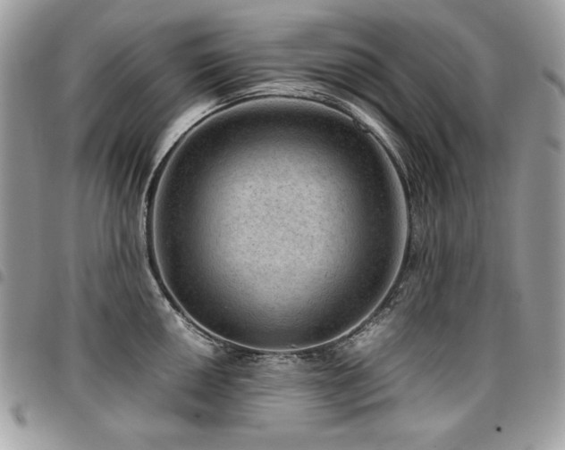 X0000096941050200802081201