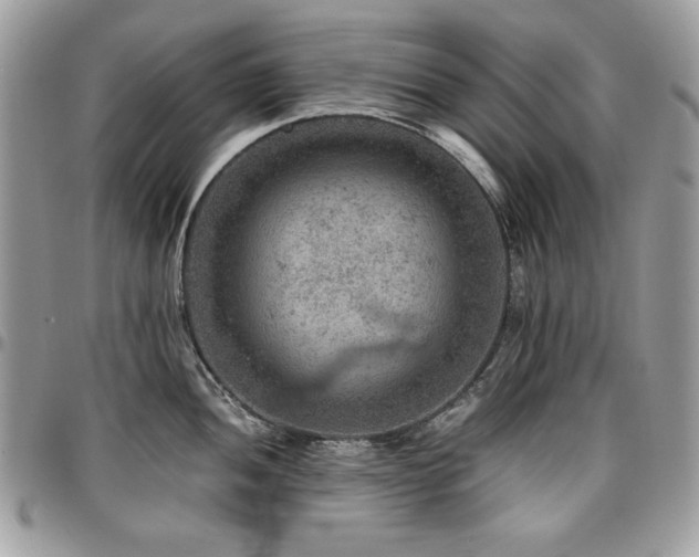 X0000096941052200802081201