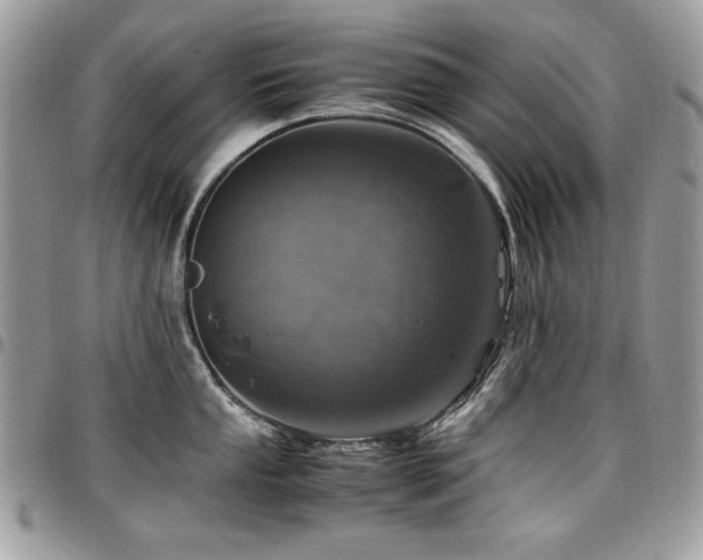 X0000096941053200802081201
