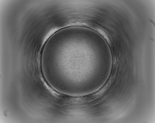 X0000096941054200802081201