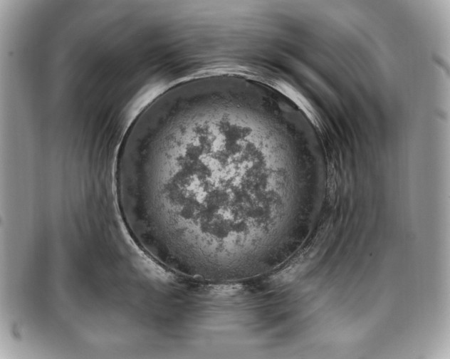 X0000096941055200802081201