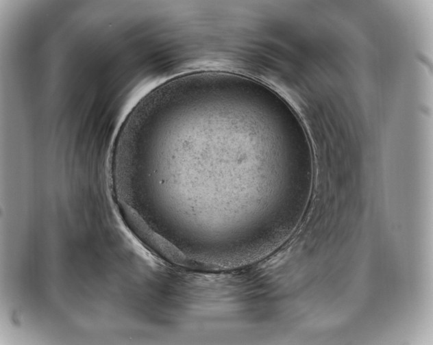 X0000096941056200802081201