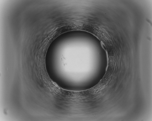 X0000096941057200802081201