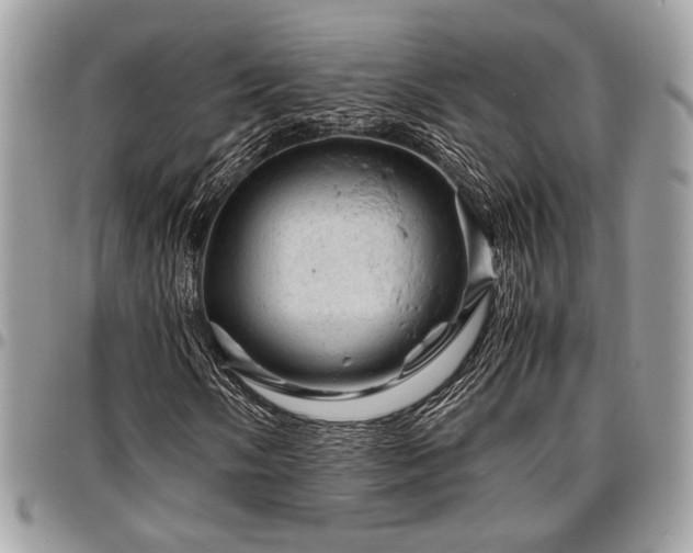 X0000096941058200802081201