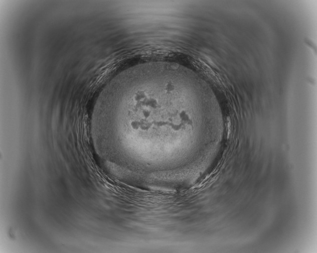 X0000096941059200802081201