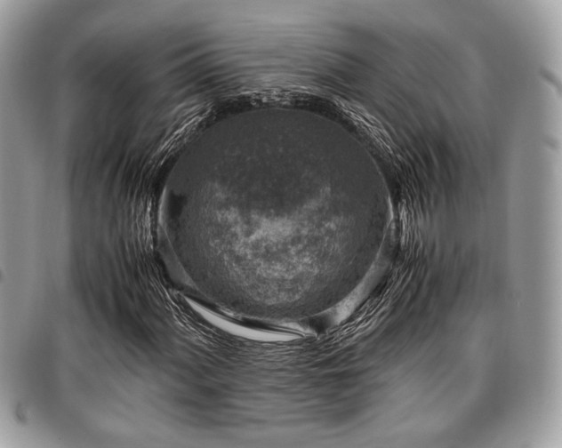 X0000096941060200802081201