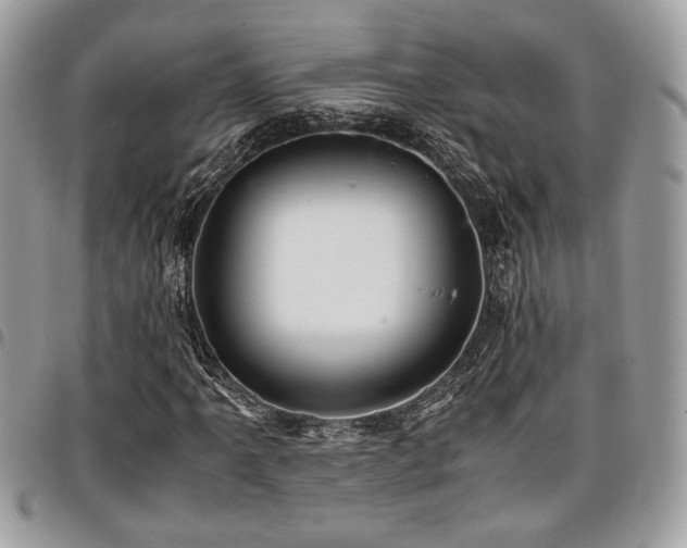 X0000096941061200802081201