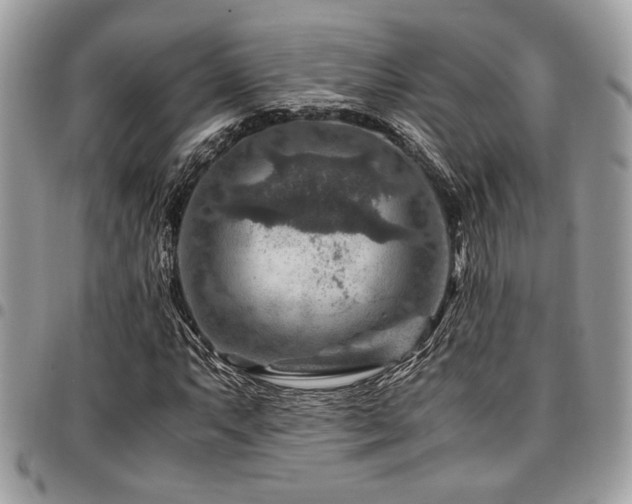 X0000096941063200802081201