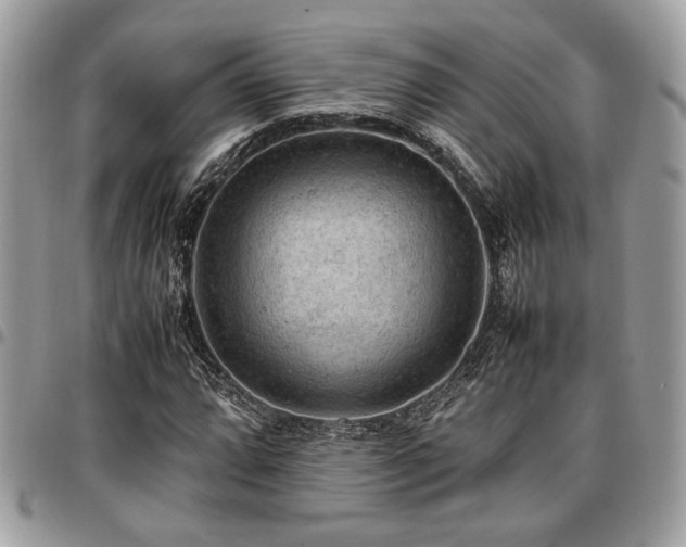 X0000096941064200802081200