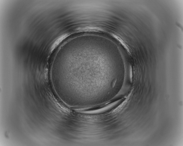 X0000096941066200802081200