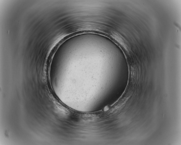 X0000096941068200802081200