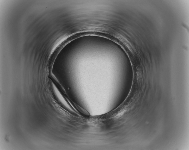 X0000096941069200802081200