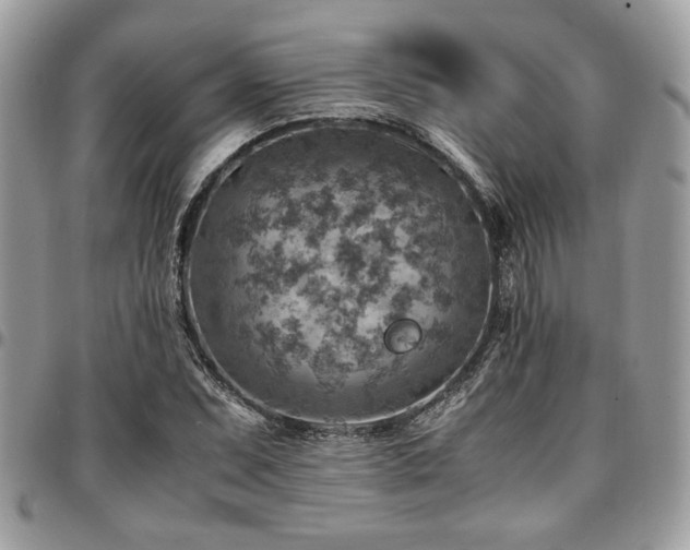 X0000096941071200802081200