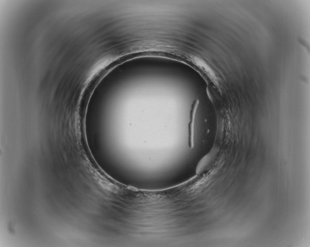 X0000096941072200802081200