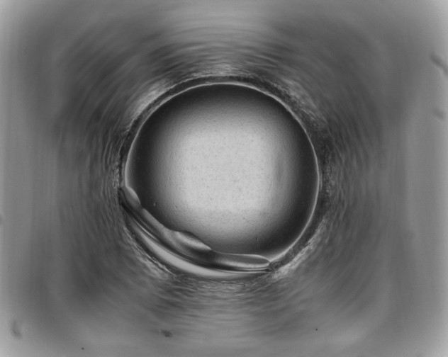 X0000096941073200802081200