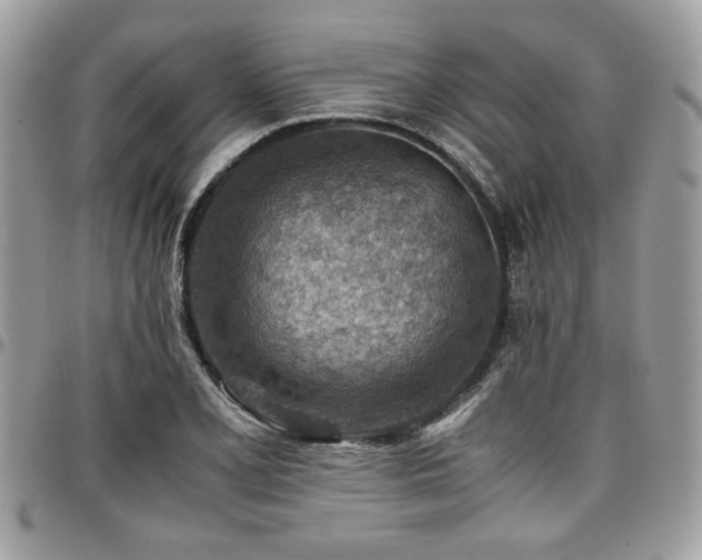 X0000096941077200802081200