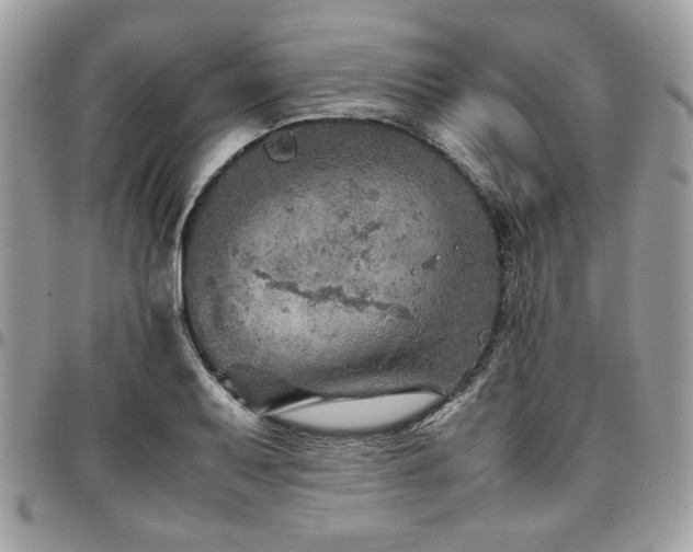 X0000096941079200802081200