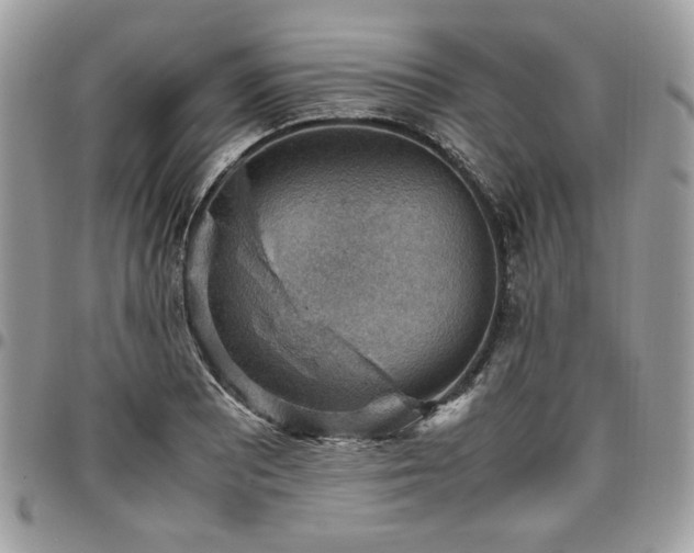 X0000096941081200802081200