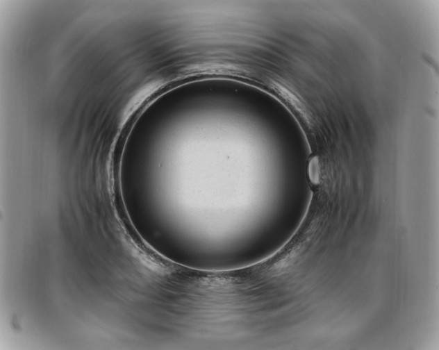 X0000096941082200802081200