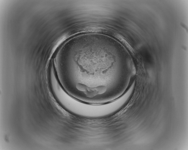 X0000096941083200802081200