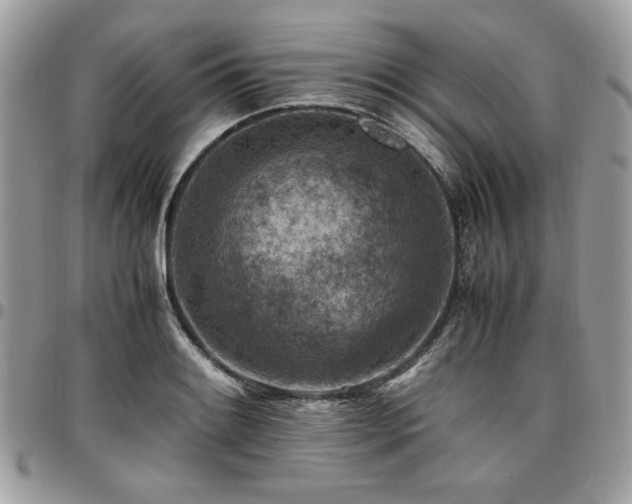 X0000096941084200802081200