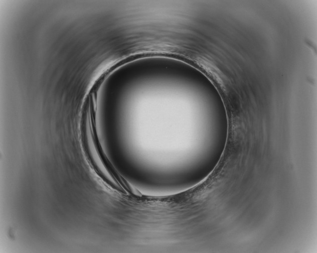 X0000096941085200802081200