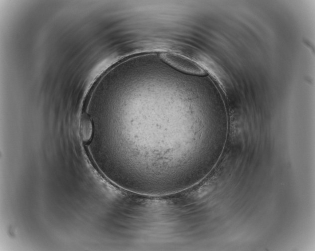 X0000096941088200802081200