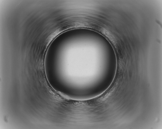 X0000096941089200802081200