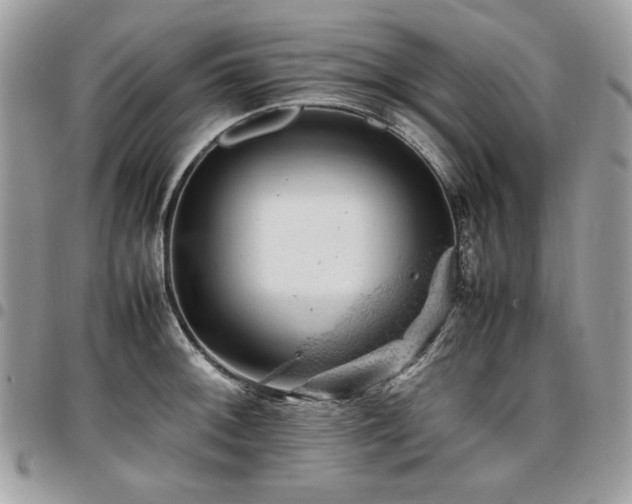 X0000096941092200802081200