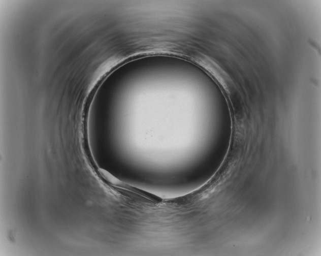 X0000096941093200802081200