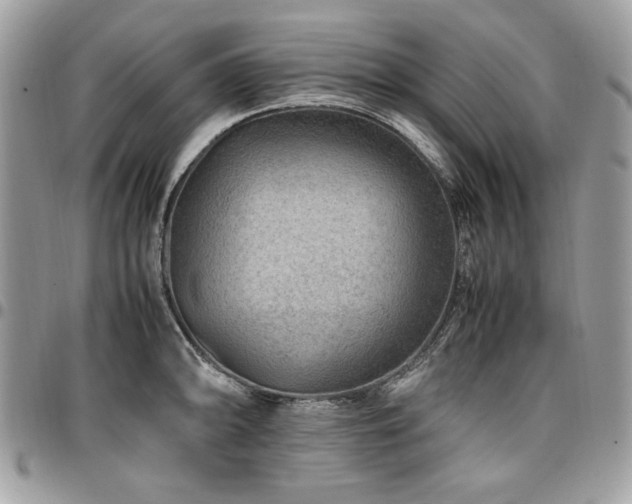X0000096941094200802081200