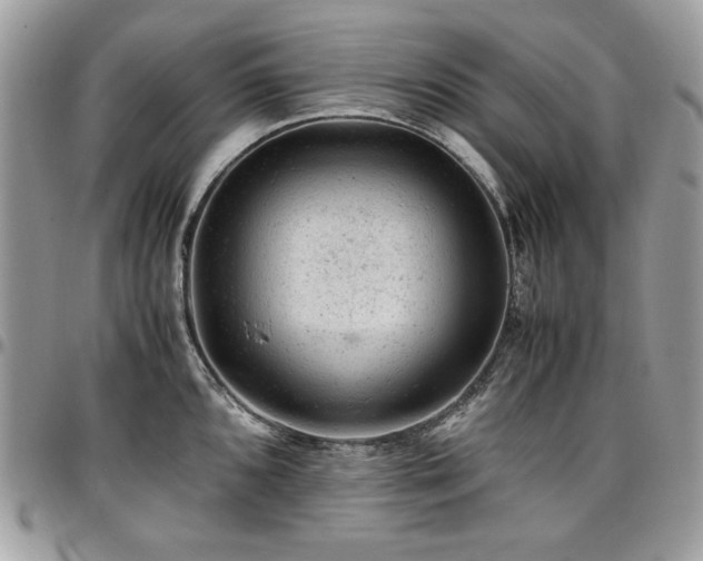 X0000096941096200802081200