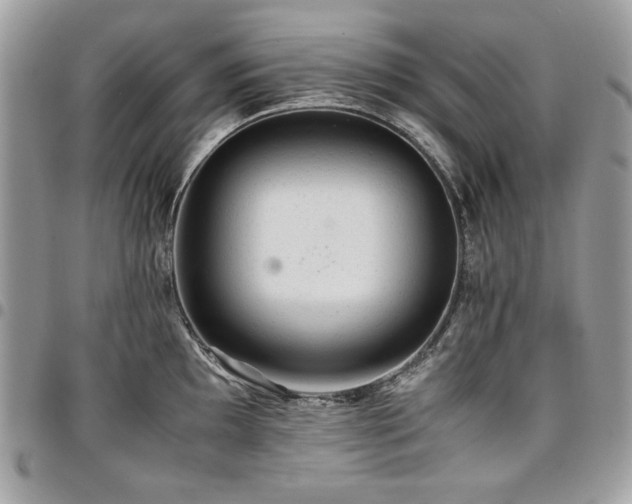 X0000096941097200802081200
