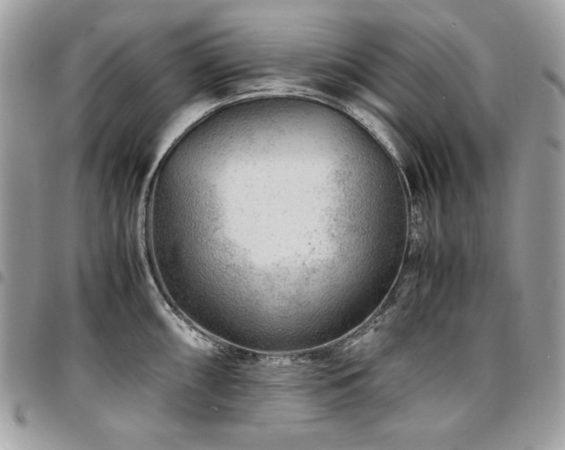 X0000096941098200802081200