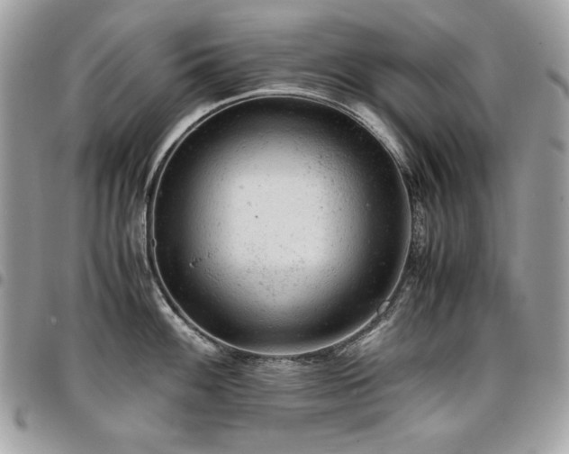 X0000096941100200802081200