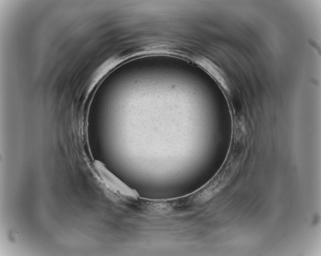 X0000096941101200802081200