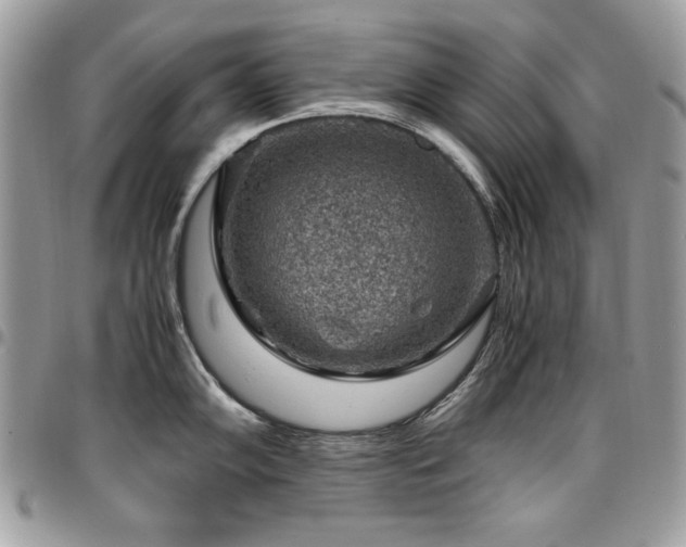 X0000096941102200802081200