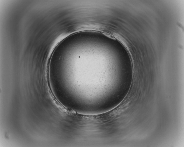 X0000096941104200802081200