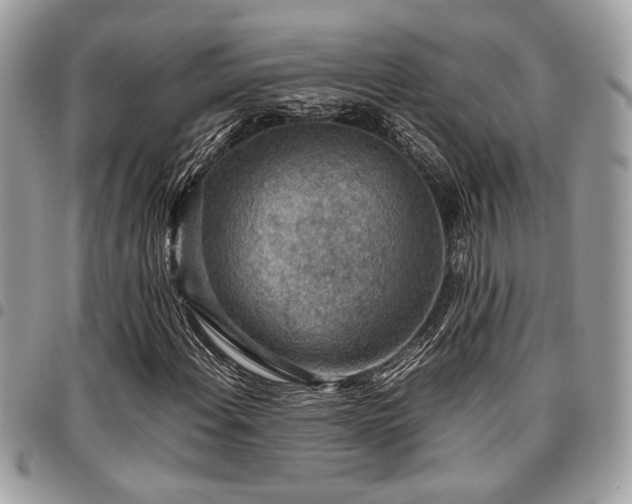 X0000096941108200802081159