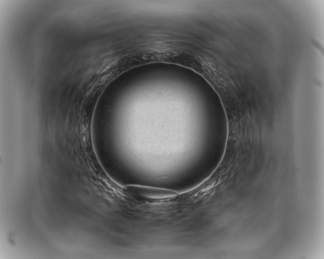 X0000096941109200802081159