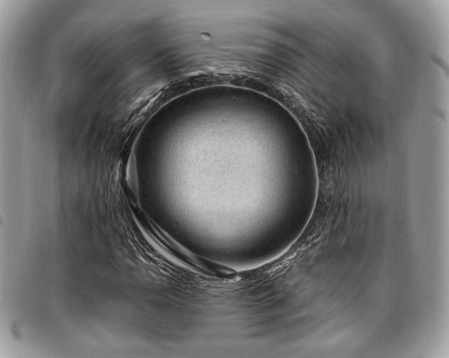 X0000096941110200802081159