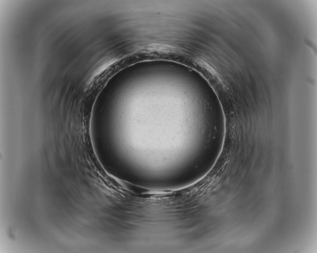 X0000096941112200802081159
