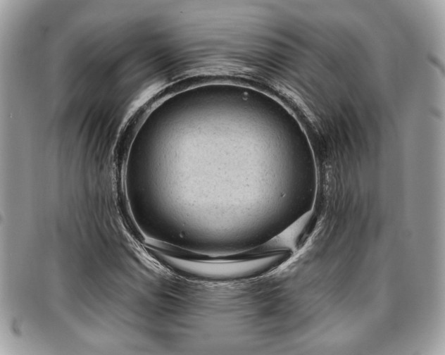 X0000096941114200802081159