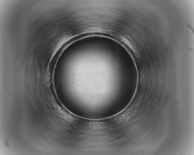 X0000096941116200802081159