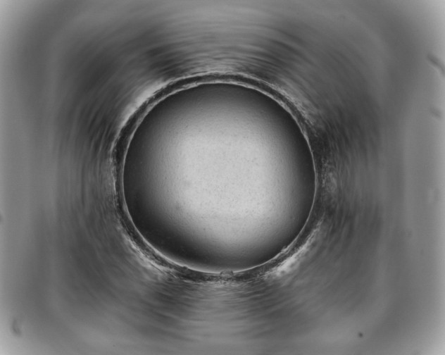 X0000096941118200802081159