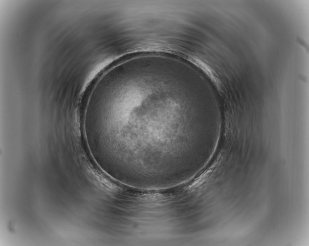 X0000096941120200802081159