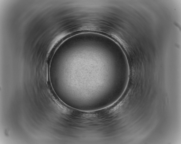 X0000096941123200802081200