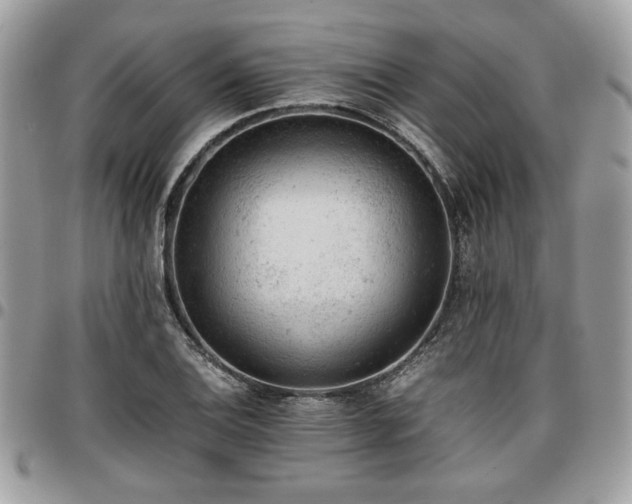 X0000096941124200802081200