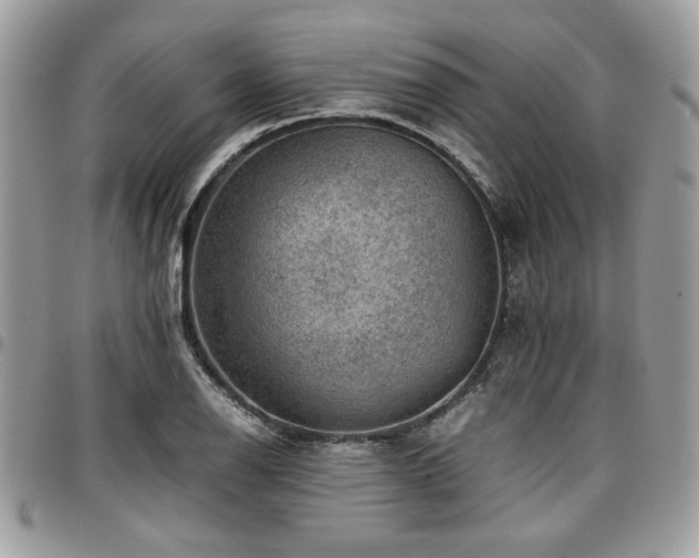 X0000096941126200802081200